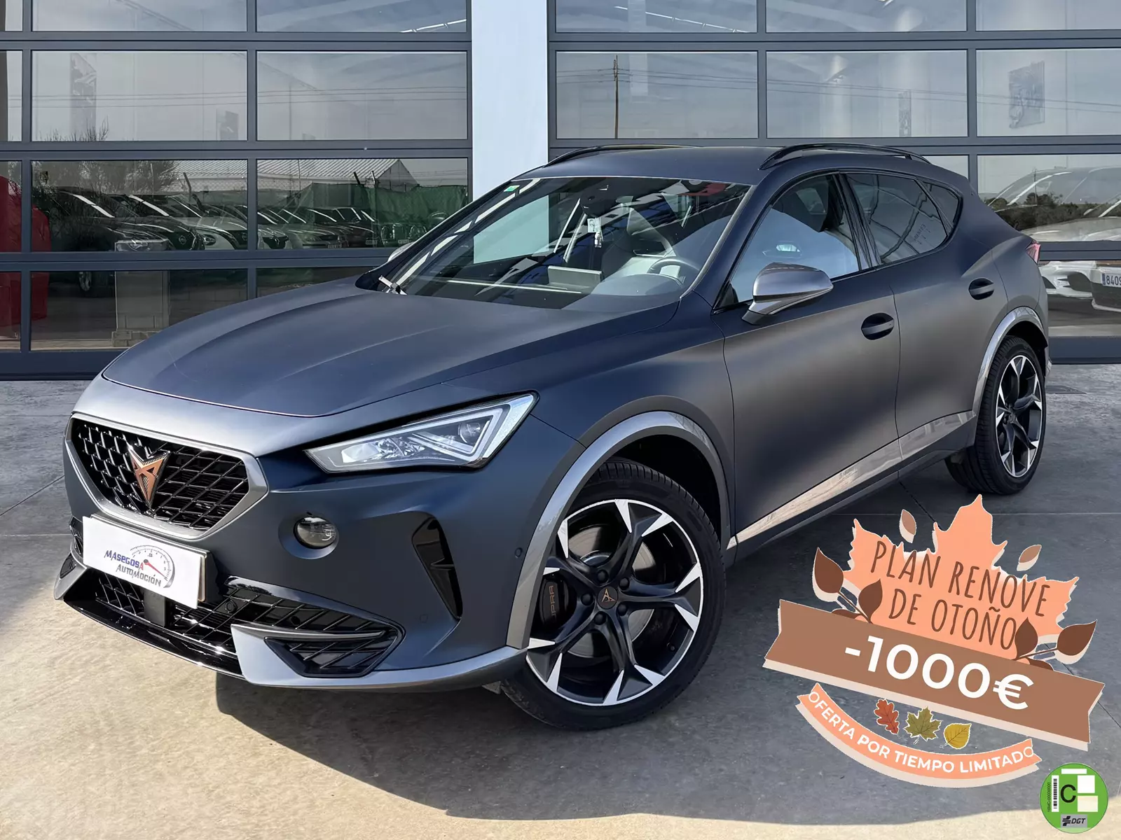Formentor 2.0 TSI 310CV VZ DSG 4Drive